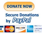 PayPal DonateButton