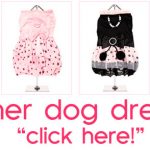 summer dog dresses