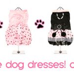 dog dresses banner