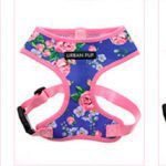 floral dog harnesses