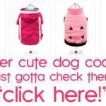 cute dogcoats
