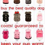 best dog coats