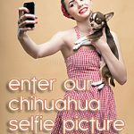 chihuahua selfiecontest widget