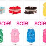 sale dog clothes