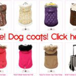 dogcoats sale 1