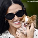 demi moore and her chihuahua pilaf