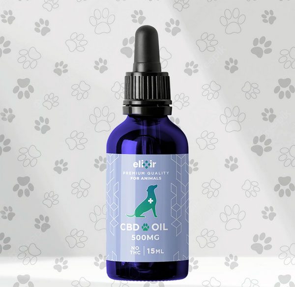 cbd oil for chihuahuas